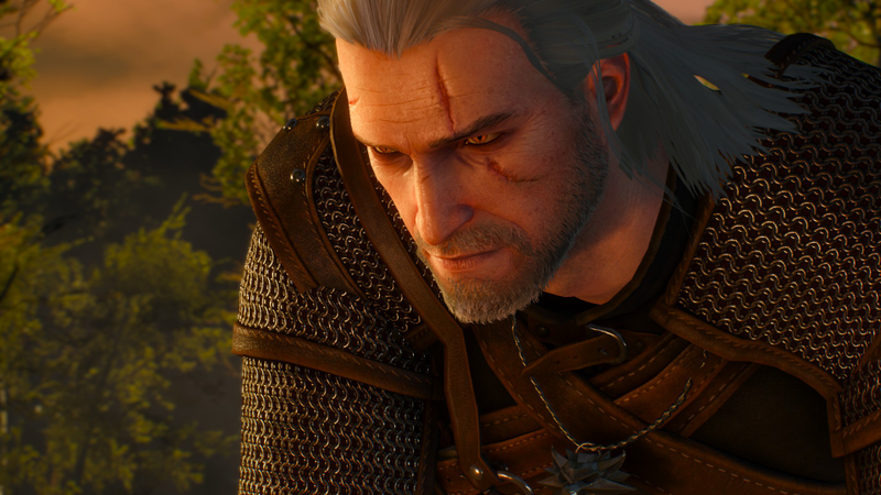 Illustration for article titled The Witcher 3, As Told Through Beautiful Screenshots